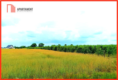 SCZUTKI 1552 m2 PIĘKNE CICHE ZDROWE MIEJSCE - Szczutki  - Kujawsko-Pomorskie