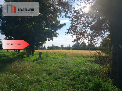 Duże działki budowlane w Stobnie - Stobno  -
Dolnośląskie Zdjęcie nr 5