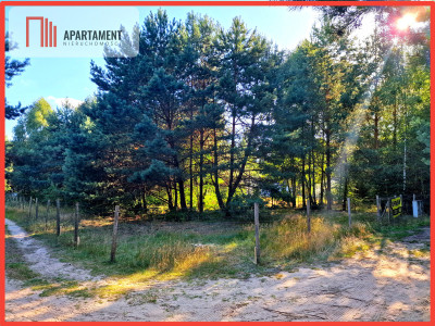 Jeszcze niższa cenaDziałka mieszkaniowa w Tleniu - Tleń  -
Kujawsko-Pomorskie Zdjęcie nr 2
