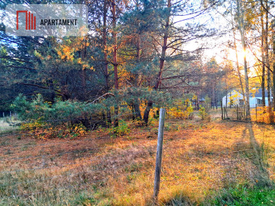 Jeszcze niższa cenaDziałka mieszkaniowa w Tleniu - Tleń  -
Kujawsko-Pomorskie Zdjęcie nr 5