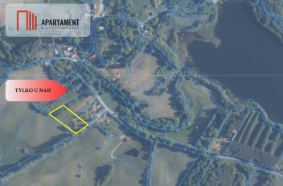 IVa klasa z własnym stawem - Rzepowo  -
Zachodniopomorskie Zdjęcie nr 4