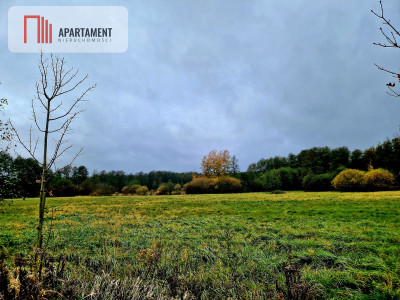 Działka inwestycyjna Raszówka - Raszówka  -
Dolnośląskie Zdjęcie nr 2