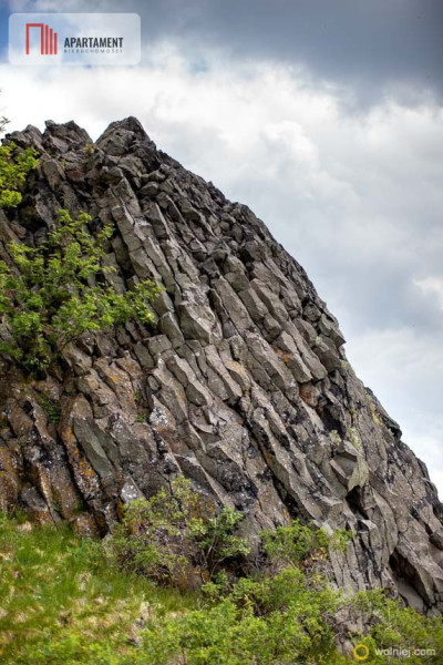 Działka rolna w cichej okolicy - powiat jaworski  -
Dolnośląskie Zdjęcie nr 10