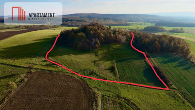 Działka rolna w cichej okolicy - powiat jaworski  - Dolnośląskie