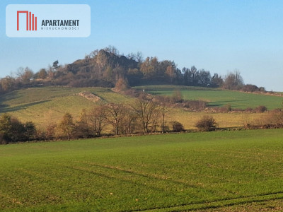 Działka rolna w cichej okolicy - powiat jaworski  -
Dolnośląskie Zdjęcie nr 5