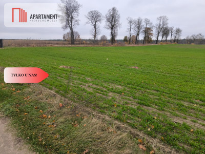 Działki budowlane Lipinki Królewskie wydane WZ - Starogard Gdański  -
Pomorskie Zdjęcie nr 11