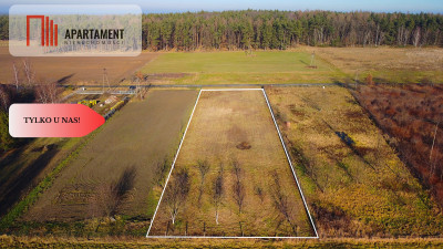 Zawonia ul Topolowa 3000 m2 W pobliżu lasu - Zawonia  - Dolnośląskie