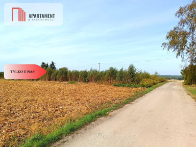 Super Cena  Toporzysko 3000m2 z MPZP - Toporzysko  -
Kujawsko-Pomorskie Zdjęcie nr 7