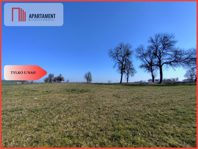 TYLKO U NAS Działka pod wymarzony dom - Jastrzębiec  -
Kujawsko-Pomorskie Zdjęcie nr 2