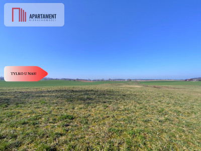 TYLKO U NAS Działka pod wymarzony dom - Jastrzębiec  -
Kujawsko-Pomorskie Zdjęcie nr 4