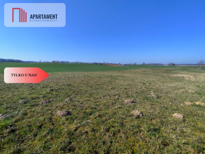 TYLKO U NAS Działka pod wymarzony dom - Jastrzębiec  -
Kujawsko-Pomorskie Zdjęcie nr 5