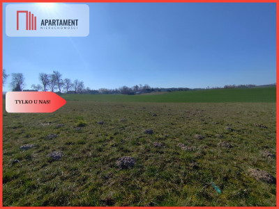 TYLKO U NAS Działka pod wymarzony dom - Jastrzębiec  -
Kujawsko-Pomorskie Zdjęcie nr 6