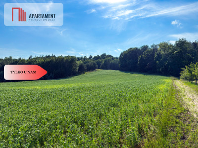 Tylko u nas Działka 113 ha Gruczno media WZ - Gruczno  - Kujawsko-Pomorskie