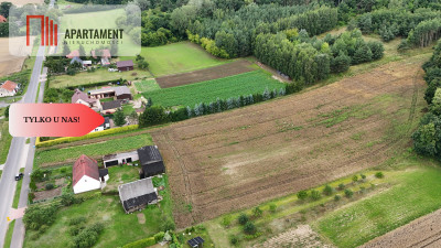 Tylko u nas Działka 113 ha Gruczno media WZ - Gruczno  -
Kujawsko-Pomorskie Zdjęcie nr 3