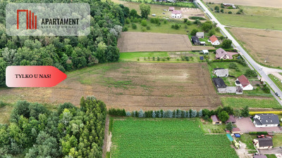 Tylko u nas Działka 113 ha Gruczno media WZ - Gruczno  -
Kujawsko-Pomorskie Zdjęcie nr 4