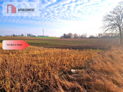 TYLKO U NAS Miejsce na Twój wymarzony dom - Racławki  -
Pomorskie Zdjęcie nr 2