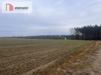 Działki z WZ - Dom jednorodzinny - powiat żniński  -
Kujawsko-Pomorskie Zdjęcie nr 3