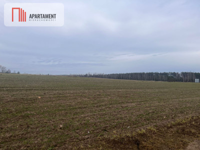 Działki z WZ - Dom jednorodzinny - powiat żniński  -
Kujawsko-Pomorskie Zdjęcie nr 4