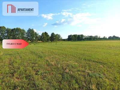 Mochle 1000m2 działka z WZ media - powiat bydgoski  -
Kujawsko-Pomorskie Zdjęcie nr 4