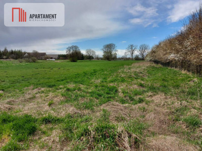 6 tyś m2 w Małych Rudach raj dla fanów przyrody - powiat nakielski  - Kujawsko-Pomorskie