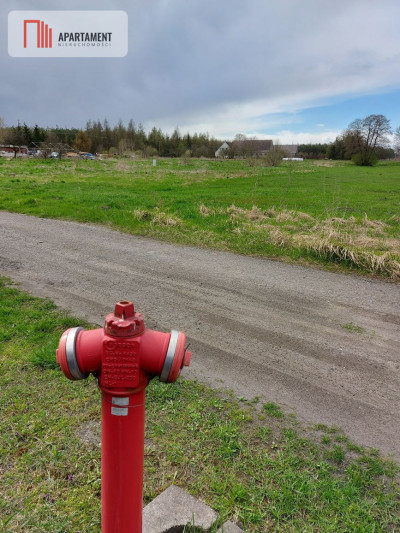 6 tyś m2 w Małych Rudach raj dla fanów przyrody - powiat nakielski  -
Kujawsko-Pomorskie Zdjęcie nr 2