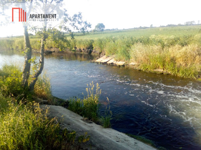6 tyś m2 w Małych Rudach raj dla fanów przyrody - powiat nakielski  -
Kujawsko-Pomorskie Zdjęcie nr 3