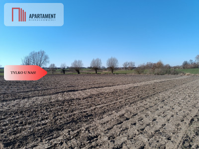 Tylko u nas Działka pod zabudowę Bory Tucholskie - Przysiersk  -
Kujawsko-Pomorskie Zdjęcie nr 6