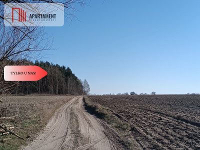 Tylko u nas Działka pod zabudowę Bory Tucholskie - Przysiersk  -
Kujawsko-Pomorskie Zdjęcie nr 8