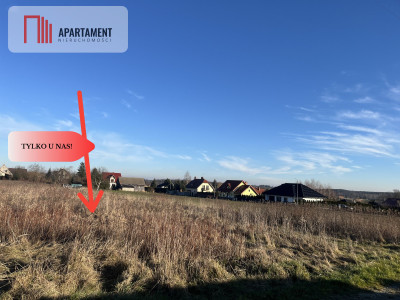 Duża działka w Dolinie Baryczy-media w drodze - Krośnice  -
Dolnośląskie Zdjęcie nr 10