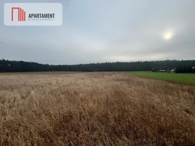 Działki z warunkami zabudowy 1075m2 - powiat nakielski  -
Kujawsko-Pomorskie Zdjęcie nr 2