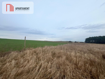 Działki z warunkami zabudowy 1075m2 - powiat nakielski  -
Kujawsko-Pomorskie Zdjęcie nr 4