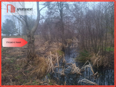 TYLKO U NAS  WSERCU BORÓW TUCHOLSKICH - powiat świecki  - Kujawsko-Pomorskie