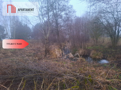 TYLKO U NAS  WSERCU BORÓW TUCHOLSKICH - powiat świecki  -
Kujawsko-Pomorskie Zdjęcie nr 2