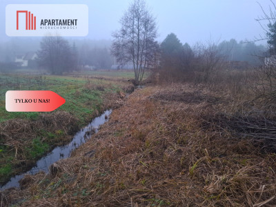 TYLKO U NAS  WSERCU BORÓW TUCHOLSKICH - powiat świecki  -
Kujawsko-Pomorskie Zdjęcie nr 3