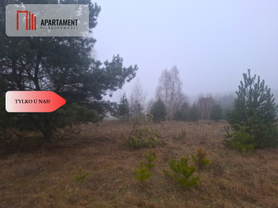 TYLKO U NAS  WSERCU BORÓW TUCHOLSKICH - powiat świecki  -
Kujawsko-Pomorskie Zdjęcie nr 4