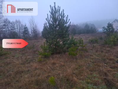 TYLKO U NAS  WSERCU BORÓW TUCHOLSKICH - powiat świecki  -
Kujawsko-Pomorskie Zdjęcie nr 5