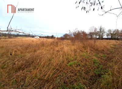 Dobrylewo -Działka 2700m2 budowlana z WZ - powiat żniński  -
Kujawsko-Pomorskie Zdjęcie nr 4