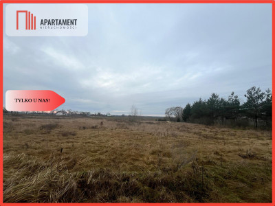  Działka otoczona lasami i polami z WZ - powiat nakielski  - Kujawsko-Pomorskie