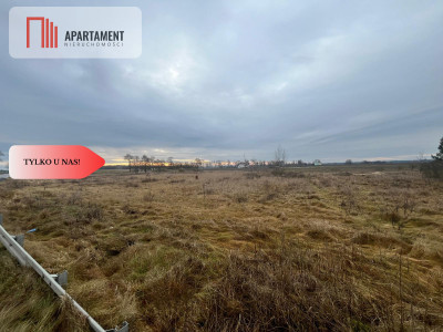  Działka otoczona lasami i polami z WZ - powiat nakielski  -
Kujawsko-Pomorskie Zdjęcie nr 2