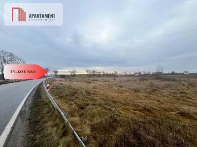  Działka otoczona lasami i polami z WZ - powiat nakielski  -
Kujawsko-Pomorskie Zdjęcie nr 4