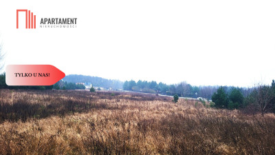 Duża narożna działka z prądem las jezioro - powiat bydgoski  -
Kujawsko-Pomorskie Zdjęcie nr 2