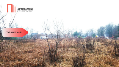 Duża narożna działka z prądem las jezioro - powiat bydgoski  -
Kujawsko-Pomorskie Zdjęcie nr 3