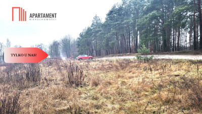 Duża narożna działka z prądem las jezioro - powiat bydgoski  -
Kujawsko-Pomorskie Zdjęcie nr 4