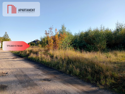 Tylko u Nas Działka w Chojniczkach nad jeziorem - Chojniczki  -
Pomorskie Zdjęcie nr 5