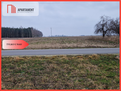 Działka budowlana blisko dużego lasu - Rogowo  - Kujawsko-Pomorskie