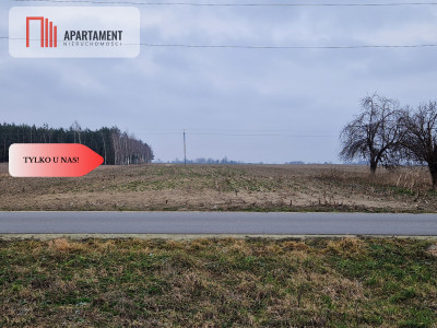 Działka budowlana blisko dużego lasu - Rogowo  -
Kujawsko-Pomorskie Zdjęcie nr 7