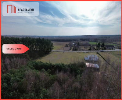 Dom wśród lasów  6317 mkw z projektem w Borach - Osłowo  -
Kujawsko-Pomorskie Zdjęcie nr 2