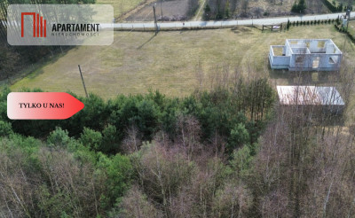 Dom wśród lasów  6317 mkw z projektem w Borach - Osłowo  -
Kujawsko-Pomorskie Zdjęcie nr 3