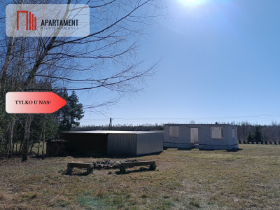 Dom wśród lasów  6317 mkw z projektem w Borach - Osłowo  -
Kujawsko-Pomorskie Zdjęcie nr 6