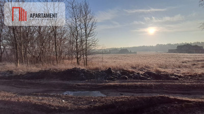 Działki pod hale magazynowe produkcje usługi - powiat nakielski  -
Kujawsko-Pomorskie Zdjęcie nr 7